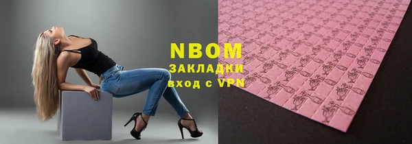 МДПВ Ельня