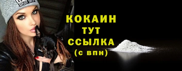 МДПВ Ельня
