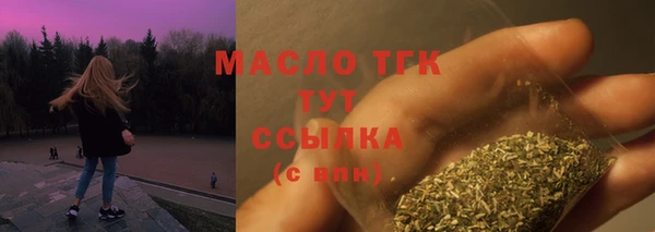 МДПВ Ельня