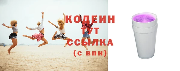 МДПВ Ельня