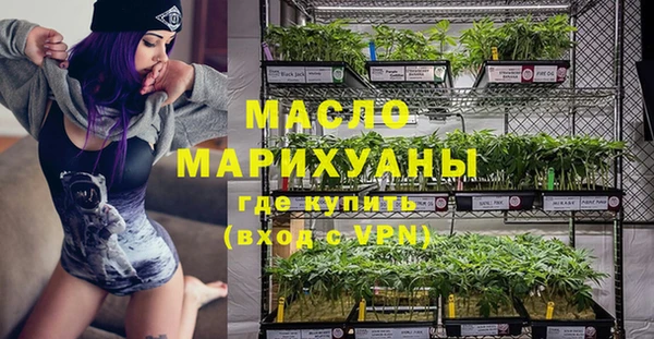 МДПВ Ельня
