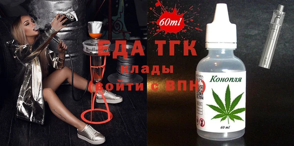 МДПВ Ельня