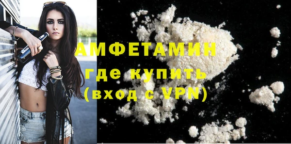 МДПВ Ельня