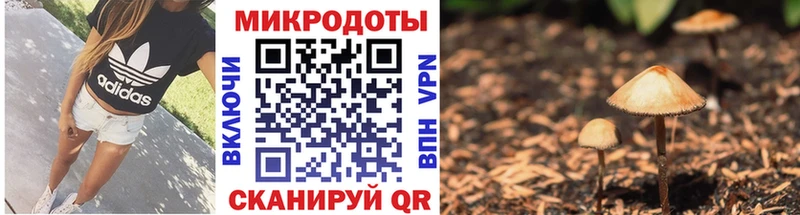 Псилоцибиновые грибы MAGIC MUSHROOMS  Нальчик 